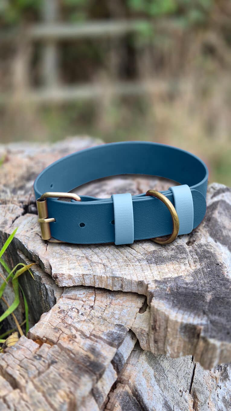 The Custom Extra Wide Single Colour Collar in blue and grey, featuring a brass buckle and ring, is displayed on a weathered tree stump outdoors with blurred greenery in the background.