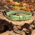 A Custom Single Colour Collar in light green with a silver buckle and D-ring is shown on a large tree stump, surrounded by blurred yellow and brown autumn leaves.