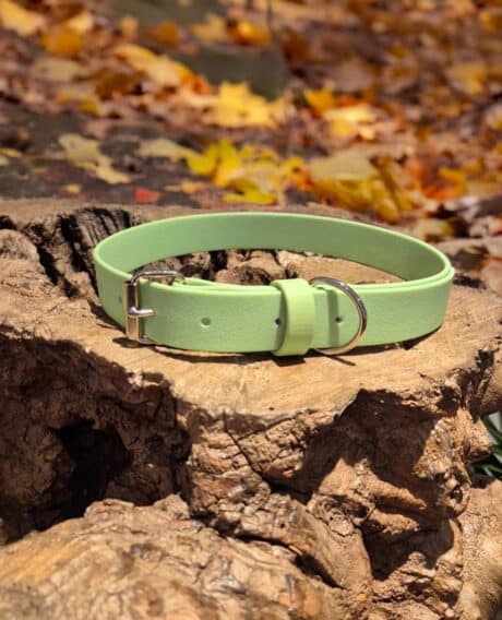 Custom Single Colour Collar