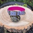 The Heather Mist Tapered Collar, featuring a pink and grey colourway with a metal buckle and ring, is shown outdoors on a wood slice among greenery, resting on a dark stone.