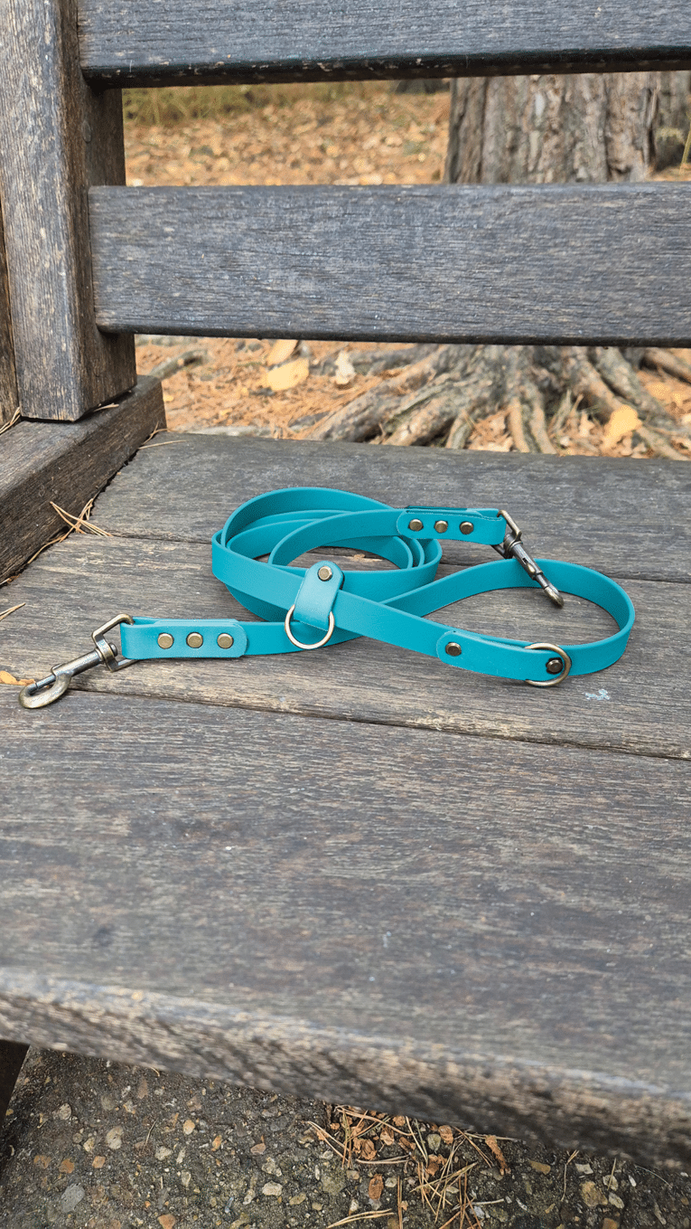 A Single colour Multi-Way lead in Cerulean Blue, made from synthetic material, is coiled on a weathered outdoor wooden bench with tree roots and dry pine needles in the background.