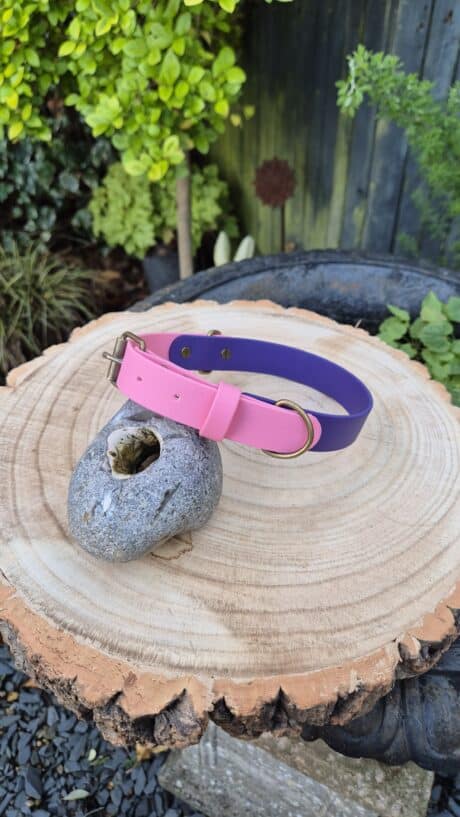 Sweet Violet Two Colour Collar