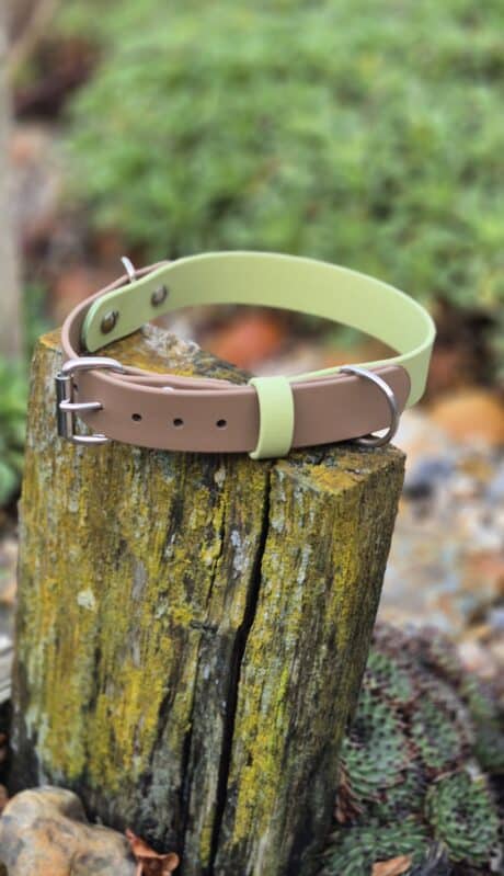 Avocado Grove Two Colour Collar