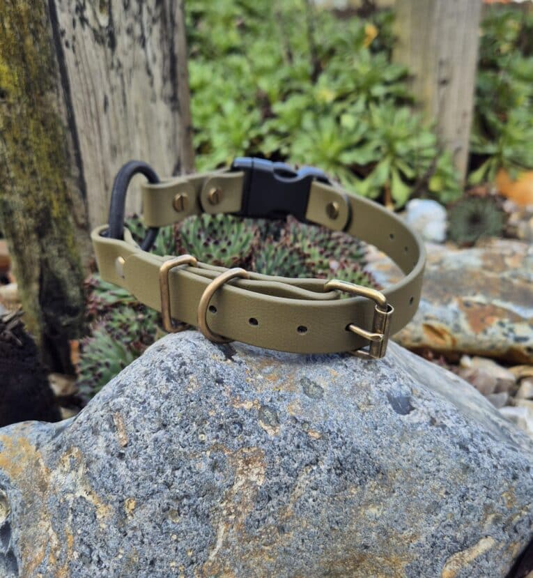 A Custom Quick-Snap Bungee Collar Strap in green, featuring a black plastic buckle and brass fittings, lies on a large textured rock surrounded by lush garden greenery and weathered wooden posts.