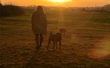 A person walks with a dog across a grassy field at sunset, both silhouetted against the orange glow of the sun, the dog's Biothane collar catching the last light of day.