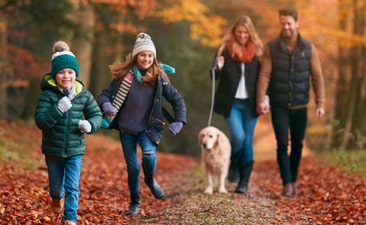 Two children run ahead on a leaf-covered path, smiling, while two adults walk behind them holding hands and walking a dog with a sturdy Biothane collar. The scene is set in an autumn forest with colourful foliage.