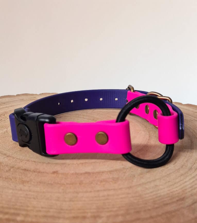 The Custom Quick-Snap Bungee Collar Strap, in bright pink and blue with brass rivets, a black plastic buckle, and a black metal ring, is shown on a wooden surface against a plain background.