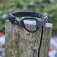 The Quick-Snap Bungee Collar, a black leather accessory with a metal ring and buckle, rests on a weathered wooden post against a blurred green background.