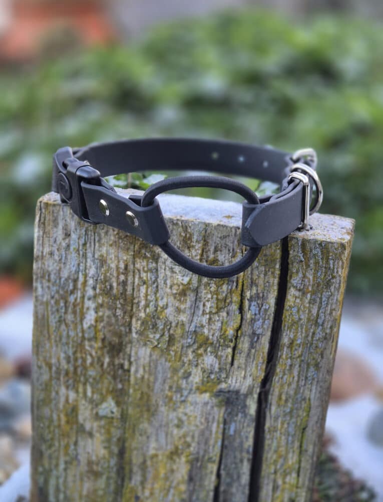 The Quick-Snap Bungee Collar, a black leather accessory with a metal ring and buckle, rests on a weathered wooden post against a blurred green background.