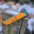 A Quick-Snap Bungee Collar in bright orange and teal with a black buckle is draped over a snow-dusted, weathered tree stump outdoors.