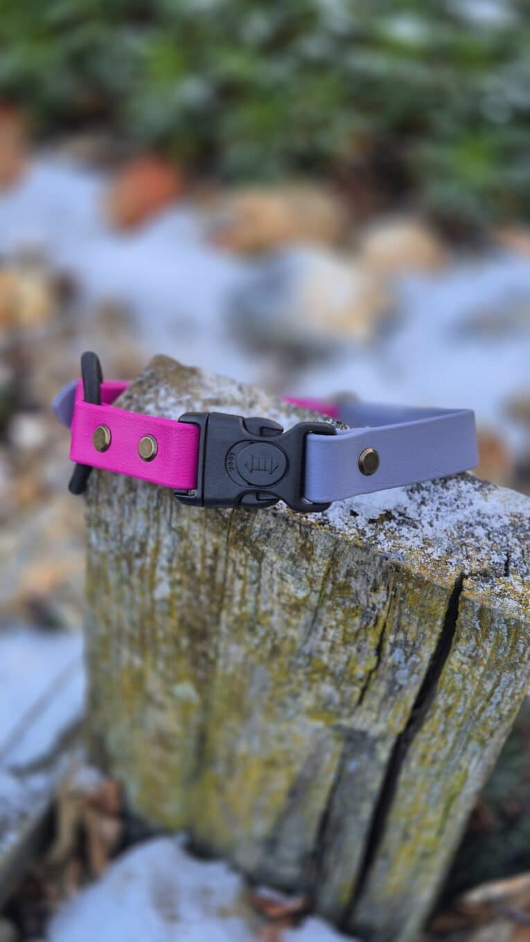 A Quick-Snap Bungee Collar, half pink and half grey, rests on a weathered tree stump outdoors with snow and blurred natural scenery in the background.