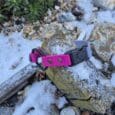 The Quick-Snap Bungee Collar in pink and grey, featuring a black quick-snap buckle, sits on a mossy log dusted with snow amid small rocks and snowy patches.
