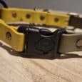 Close-up of two Quick-Snap Bungee Collars—one yellow, one beige—with black plastic buckles, fastened together and resting on wood. Features the convenient Quick-Snap Bungee Collar design for easy use.