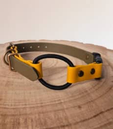 Custom Quick-Snap Bungee Collar Strap