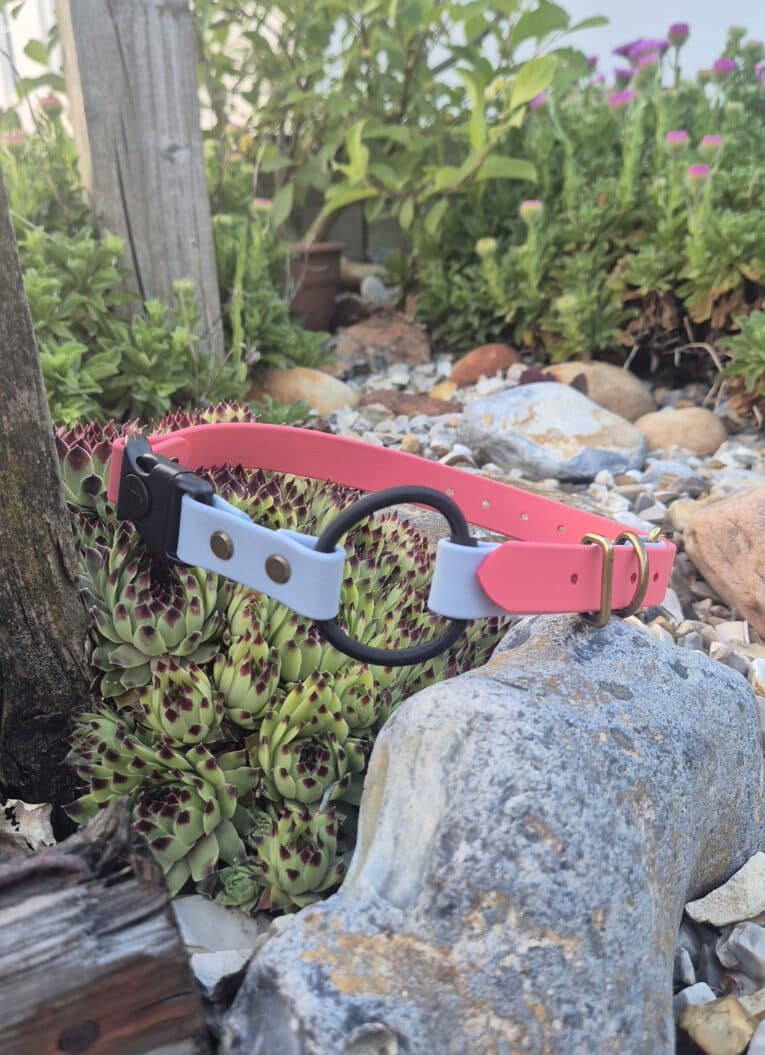 Quick-snap customisable BioThane dog collar strap in coral pink and white, displayed amongst garden plants and stones.