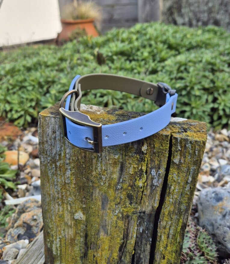 A Custom Quick-Snap Collar Strap in blue and green with a brass buckle rests on a mossy wooden post outdoors, surrounded by greenery and rocks.