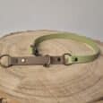 A two-tone dog collar with light green and beige leather sections, brass fittings, and circular rings, displayed on a wooden tree slice against a neutral background.