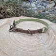 A two-toned dog collar with pale green and light brown sections, metal fittings, and a D-ring sits on a wooden tree stump with stones and grass in the background.
