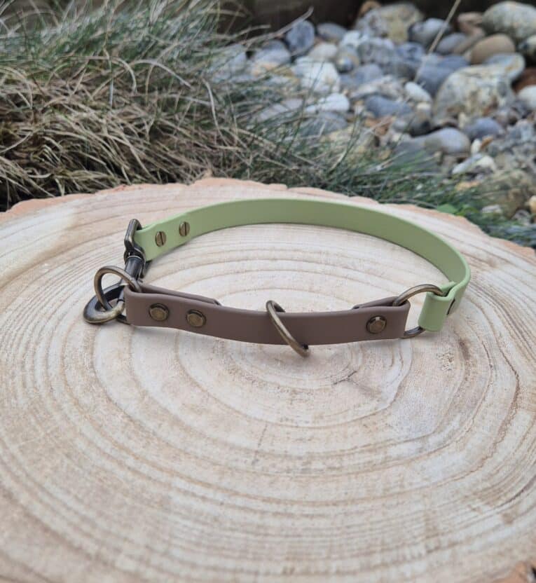 A two-toned dog collar with pale green and light brown sections, metal fittings, and a D-ring sits on a wooden tree stump with stones and grass in the background.