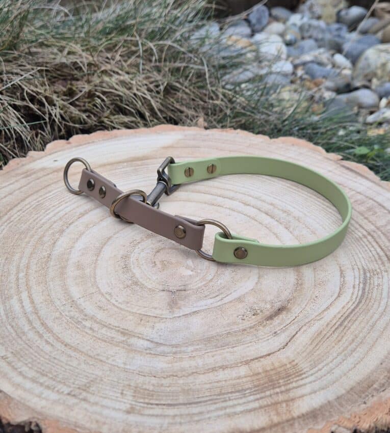 A green and brown leather dog collar with metal fittings is displayed on a round, light wooden tree stump outdoors, with rocks and grass in the background.