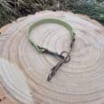A green and brown dog collar with a metal buckle and ring is displayed on a tree stump with visible growth rings, surrounded by dry grass.