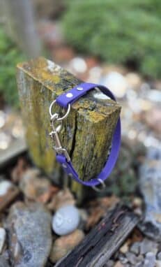 Slip & Clip Collar in vibrant purple BioThane with nickel hardware, secured on weathered wood showing floating O-ring design for training versatility.