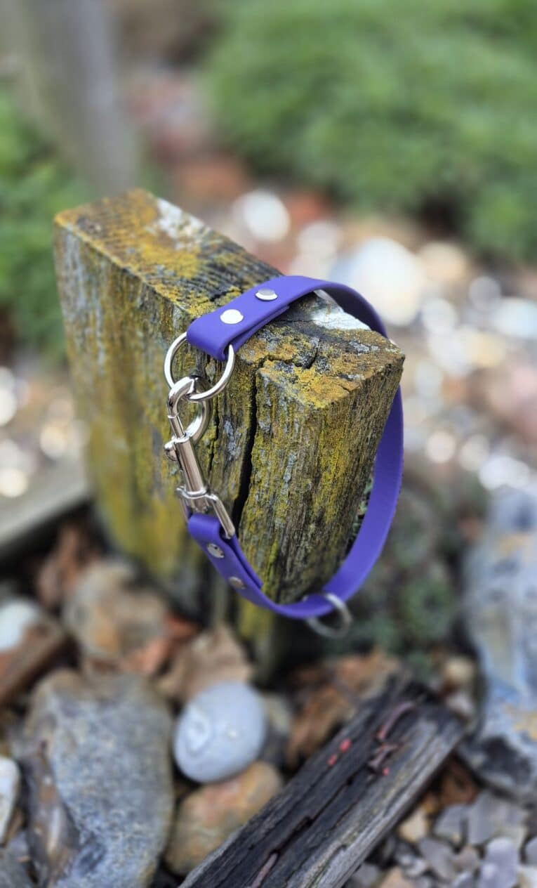 The Custom Snap Tag/Slip Collar, featuring a purple colour and silver clasp, is draped over a mossy wooden post amid rocks and greenery outdoors.