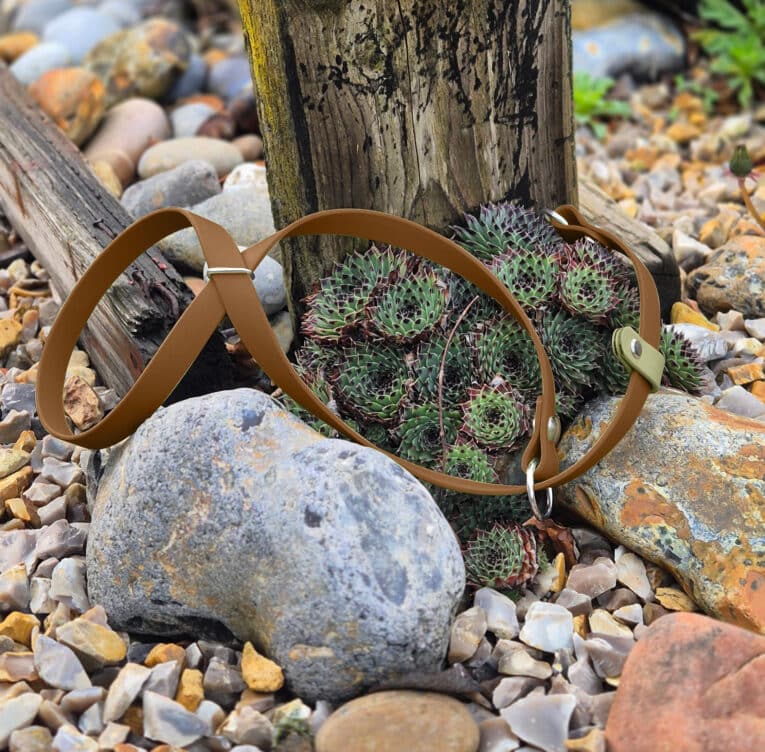 A brown leather dog harness lies on rocky ground with succulents and weathered wooden posts in the background.