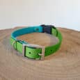 A Custom Quick-Snap Bungee Collar (Copy) in green and blue, featuring a silver buckle and D-ring, displayed on a wooden surface with visible tree rings.