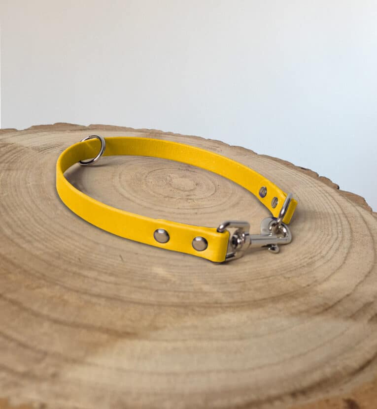 A yellow leather pet collar with metal rivets and a clasp lies on a round wooden surface with visible tree rings, against a plain light background.