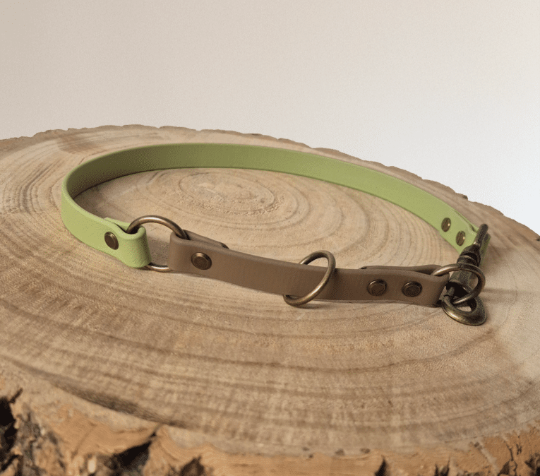 A two-tone dog collar, with light green and taupe sections, brass fittings, and a metal clasp, displayed on a round wooden surface with visible tree rings.