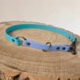 A blue and lavender dog collar with brass fittings is displayed in a circle on a wooden tree slice with visible rings.