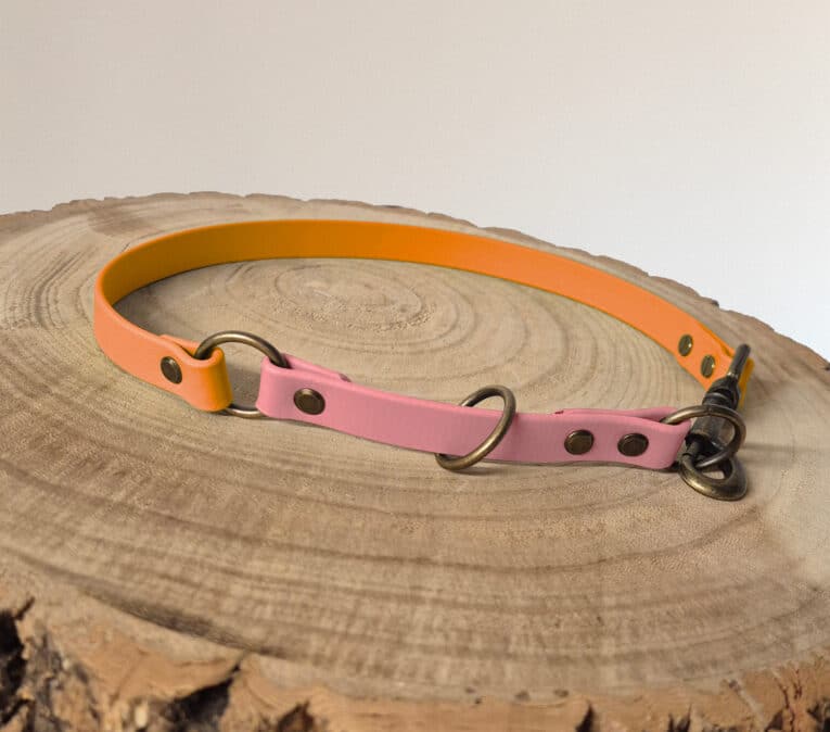 A two-tone dog collar with orange and pink sections featuring brass fittings, displayed on a textured wooden surface with visible tree rings.