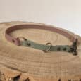 A two-toned dog collar with pink and green sections, brass fittings, and rivets rests on a round wooden surface with visible tree rings.