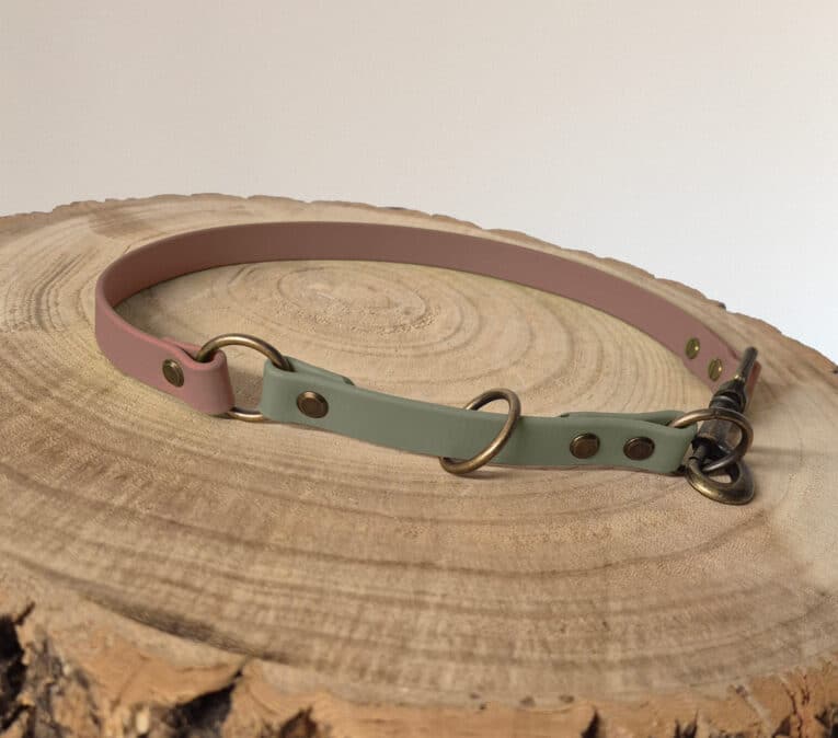 A two-toned dog collar with pink and green sections, brass fittings, and rivets rests on a round wooden surface with visible tree rings.