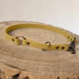 A yellow dog collar with metal rings and rivets is displayed on a round wooden surface with visible tree rings. The collar has a clasp on one end and is arranged in a circular shape.