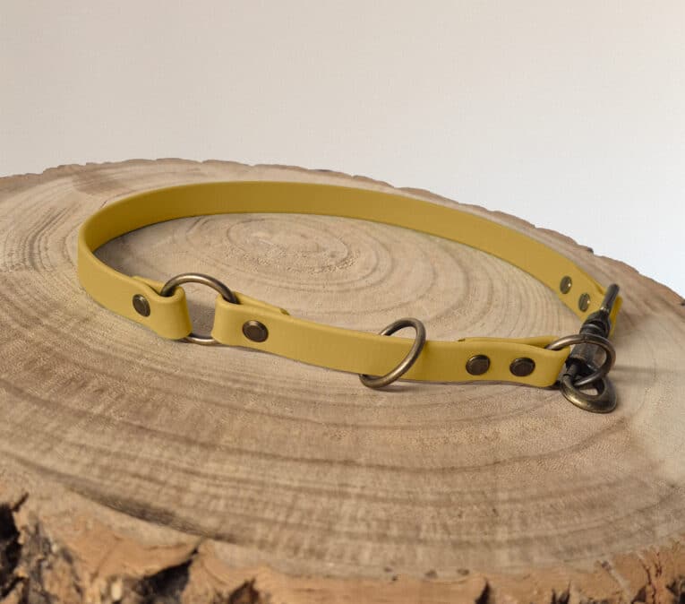 A yellow dog collar with metal rings and rivets is displayed on a round wooden surface with visible tree rings. The collar has a clasp on one end and is arranged in a circular shape.