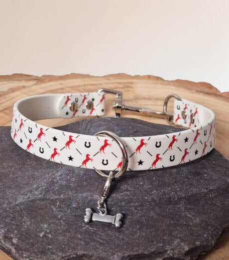 Printed Slip & Clip Collar