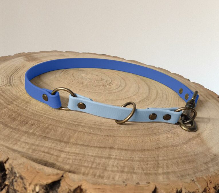 A two-tone dog collar with dark blue and light blue sections, bronze metal rings, and rivets rests on a cut tree stump with visible growth rings.