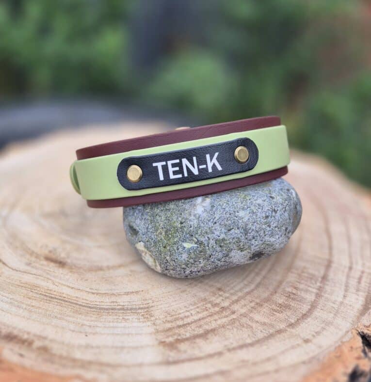 Handmade BioThane dog collar in sage green and burgundy with navy nameplate, displayed on stone.