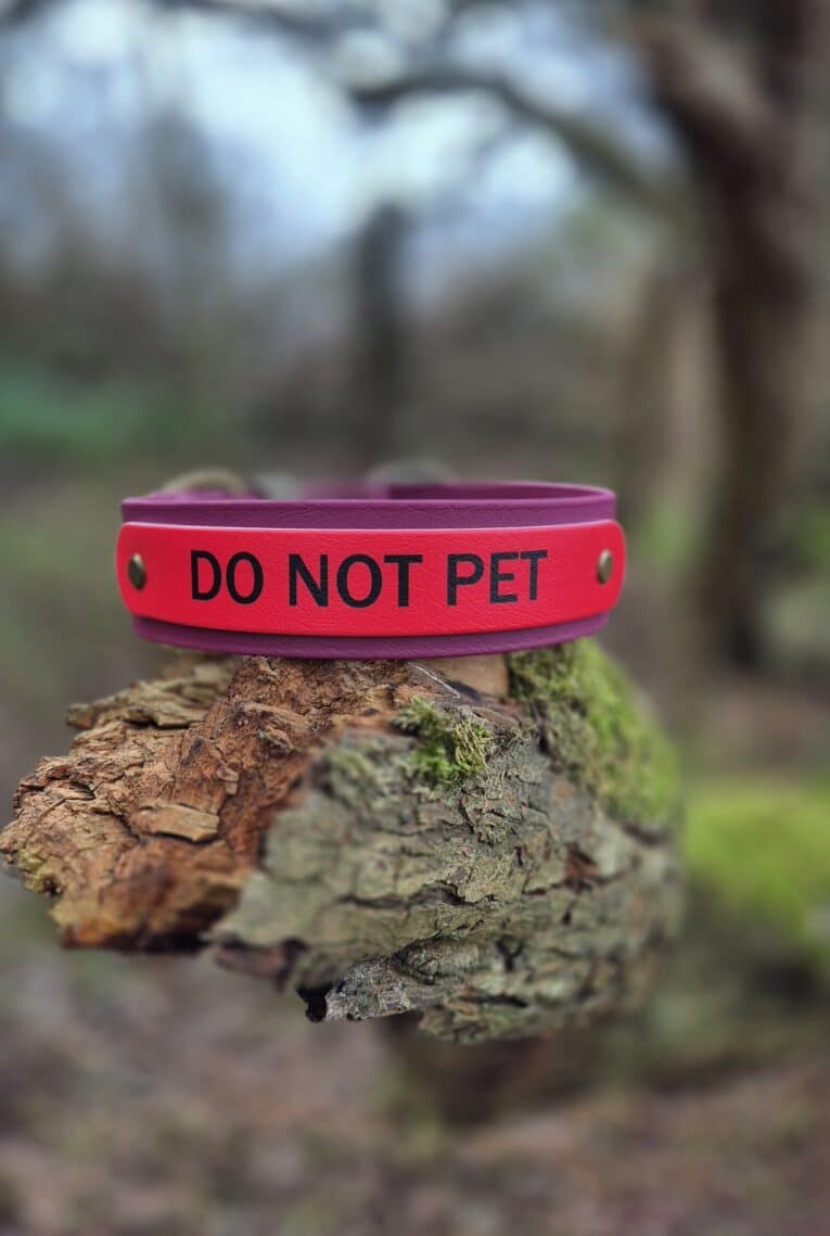 Red Biothane martingale half-slip dog collar with black 'DO NOT PET' text, displayed on textured bark outdoors.