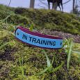 Blue and burgundy 'In Training' Martingale Half-Slip Collar displayed on moss-covered ground with a dog training in the woodland background.