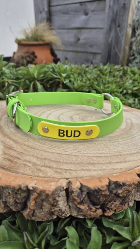 Bright green BioThane dog collar with yellow nameplate reading 'BUD' displayed on natural wooden surface in garden setting.