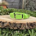 Bright lime green Centre O-Ring Collar for gundogs displayed on rustic wood against garden foliage and weathered fencing.