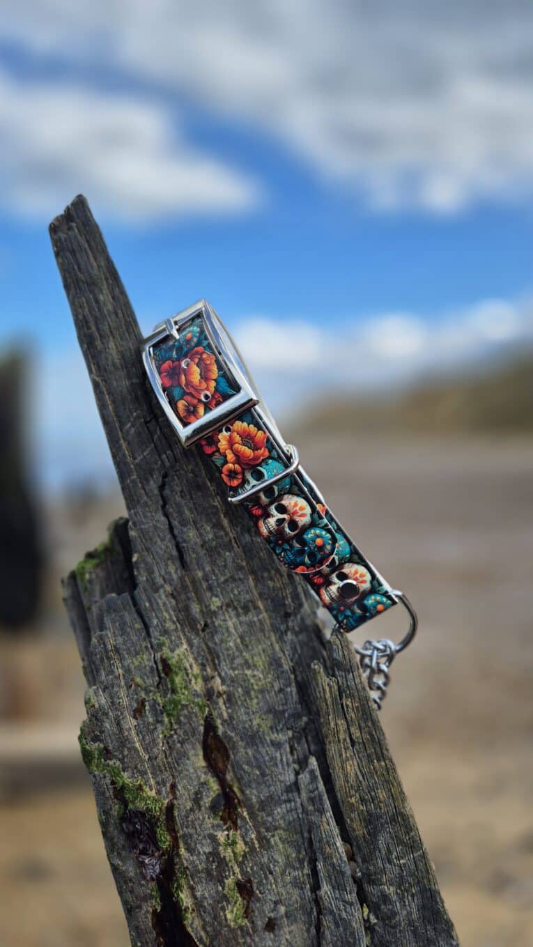 Handmade BioThane dog collar with vibrant floral skull design displayed on weathered wooden post against blue sky.