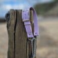 Lavender handmade BioThane dog collar with brass buckle displayed on weathered wooden post at beach.