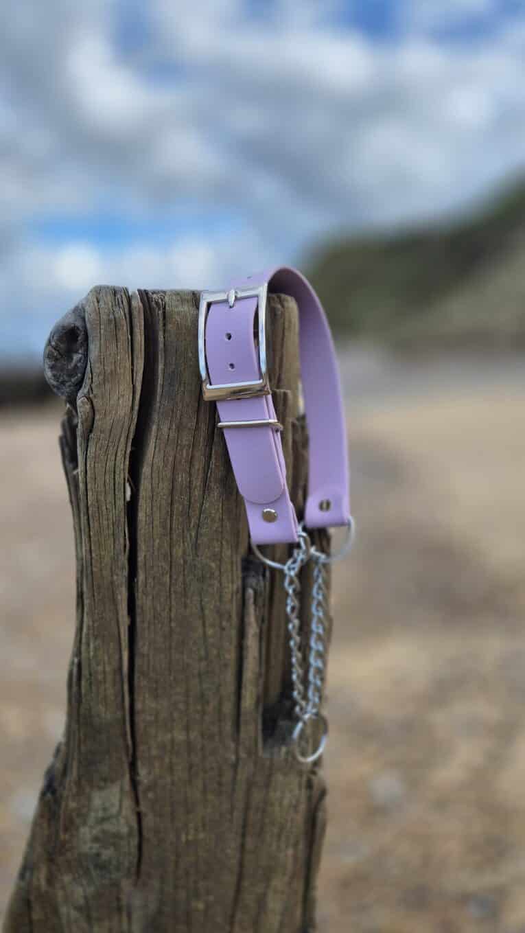 Lavender handmade BioThane dog collar with brass buckle displayed on weathered wooden post at beach.