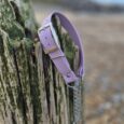 Lavender handmade BioThane dog collar draped on weathered wooden post beside coastal beach landscape.
