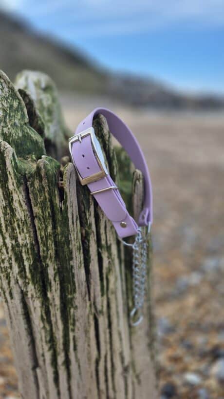 Adjustable Martingale Collar