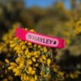 Bright pink handmade BioThane dog collar labelled 'HAYLEY' attached to yellow gorse flowers against a blue sky.